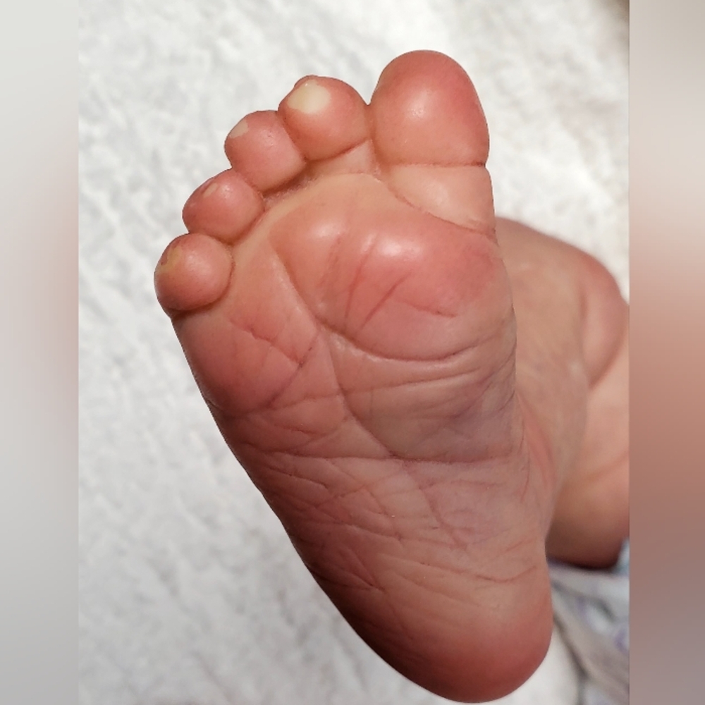 🔴🔴 SOLD 🔴🔴 - Picture 12 of 15